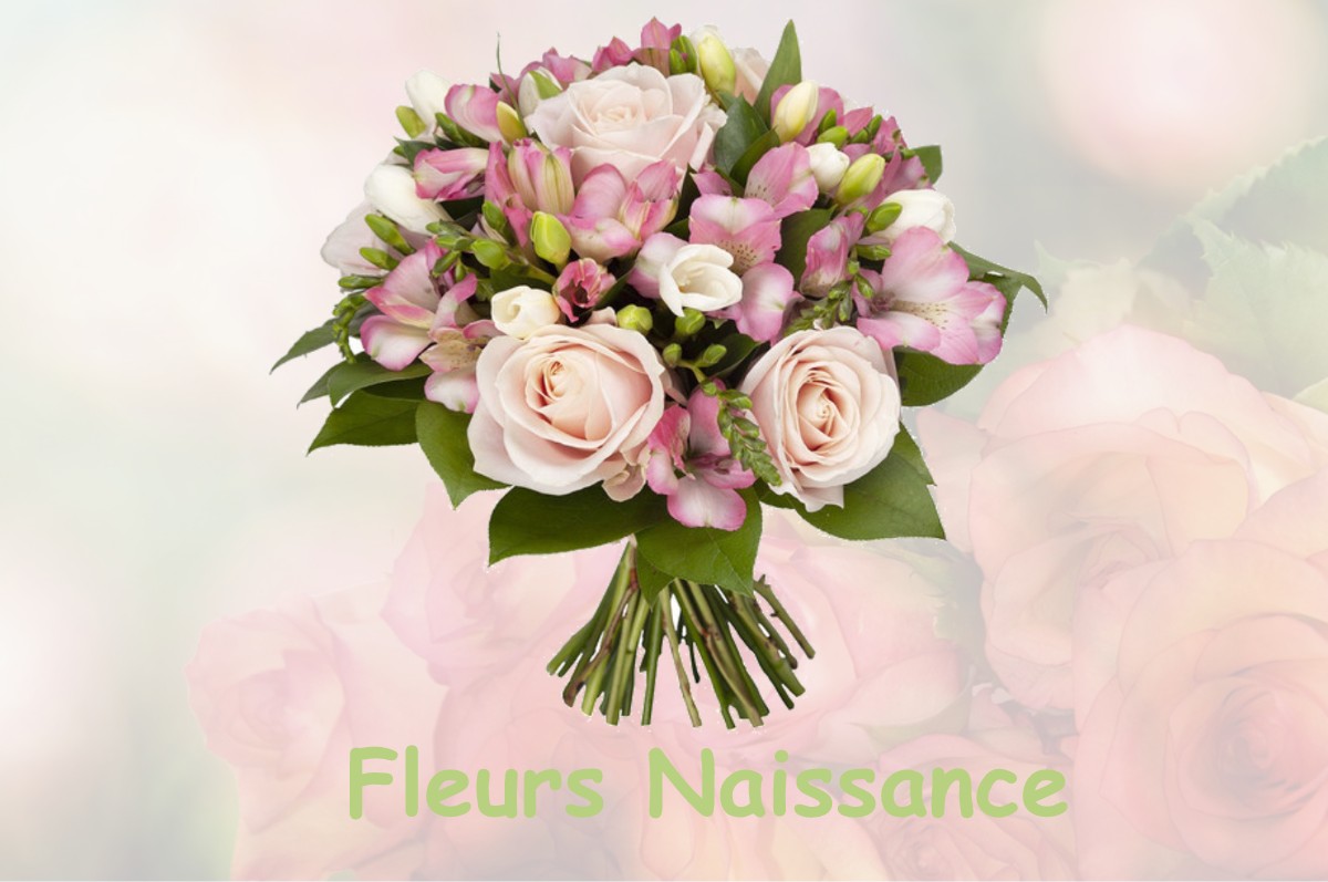 fleurs naissance SAINT-MARTIN-DE-BLAGNY